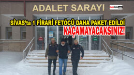 FETÖ