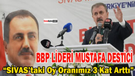 DESTİCİ