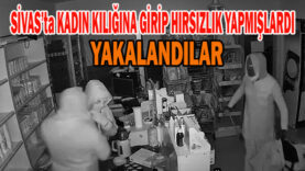 HIRSIZ
