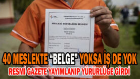 İŞ