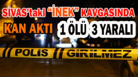 İNEK