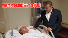 DESTİCİİİİ