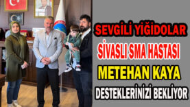 METEHAN