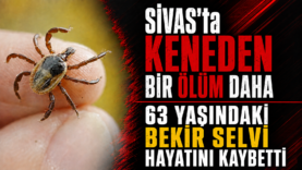 ChatGPT Image 16 Ağu 2026 18_40_10