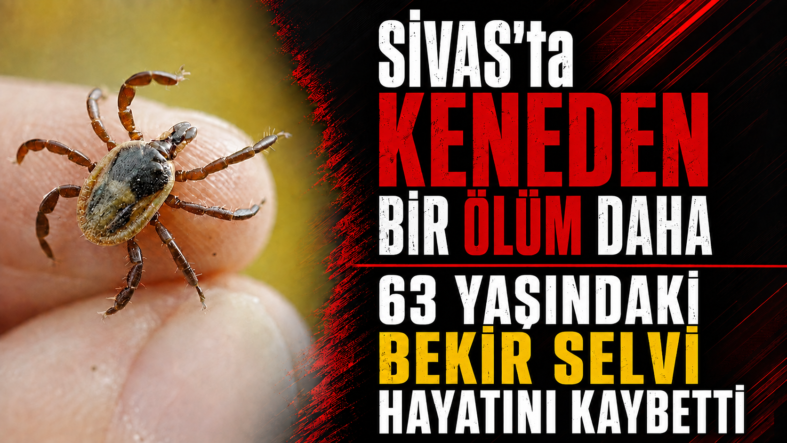 ChatGPT Image 16 Ağu 2026 18_40_10
