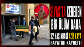 YILDIZELİ