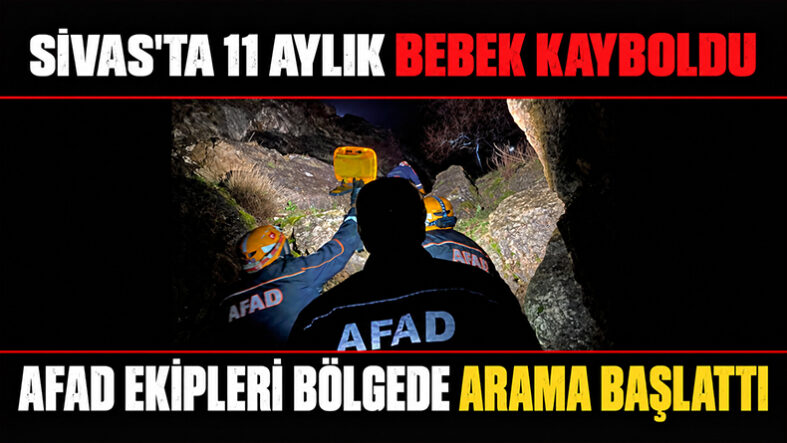 BEBEK