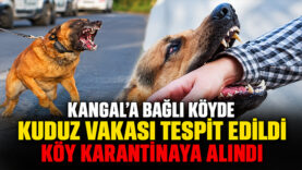 KÖY