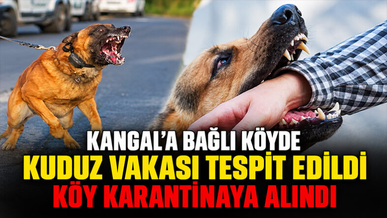 Kangal’a Bağlı Köyde Kuduz Vakası Tespit Edilince Köy Karantinaya Alındı