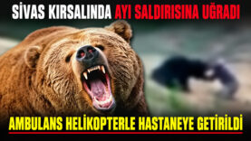SALDIRI